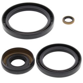 Differential Seal Kit - no. 25-2066-5 | All Balls Racing