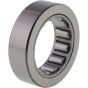 Boxed Bearing - White - no. 20-2037-W