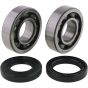 Crank Bearing and Seal Kit - no. 24-1064