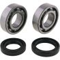 Crank Bearing and Seal Kit - no. 24-1074