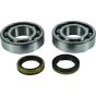 Crank Bearing and Seal Kit - no. 24-1122