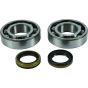 Crank Bearing and Seal Kit - no. 24-1122