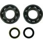 Crank Bearing and Seal Kit - no. 24-1122