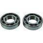 Crank Bearing and Seal Kit - no. 24-1122