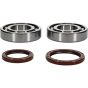 Crank Bearing and Seal Kit - no. 24-1123
