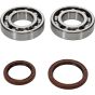 Crank Bearing and Seal Kit - no. 24-1123