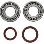 Crank Bearing and Seal Kit - no. 24-1123