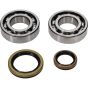 Crank Bearing Kit - no. 24-1129