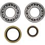 Crank Bearing Kit - no. 24-1129