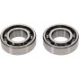 Crank Bearing Kit - no. 24-1130