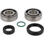 Crank Bearing Kit - no. 24-1131