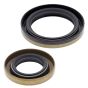Crank Shaft Seal Kit - no. 24-2002