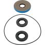 Differential Seal Kit - no. 25-2140-5