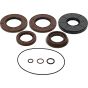 Differential Seal Kit - no. 25-2141-5