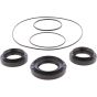 Differential Seal Kit - no. 25-2145-5