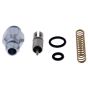 Choke Plunger Kit - no. 46-1019