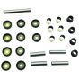 Rear Ind. Suspension Kit - no. 50-1241