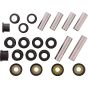 Rear Ind. Suspension Kit - no. 50-1261