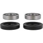 PW-Wheel Bearing Kit - no. PWFWK-H03-521