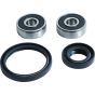 PW-Wheel Bearing Kit - no. PWFWK-H41-070