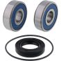PW-Wheel Bearing Kit - no. PWFWS-H33-000
