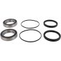 PW-Wheel Bearing Kit - no. PWRWK-H10-420