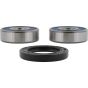 PW-Wheel Bearing Kit - no. PWRWK-H38-001