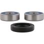 PW-Wheel Bearing Kit - no. PWRWK-H43-100