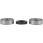 PW-Wheel Bearing Kit - no. PWRWK-H50-521