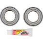 PW-Wheel Bearing Kit - no. PWRWK-H73-000