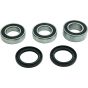 PW-Wheel Bearing Kit - no. PWRWK-HQ01-001