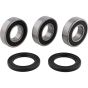 PW-Wheel Bearing Kit - no. PWRWK-S13-021