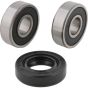 PW-Wheel Bearing Kit - no. PWRWK-S39-000