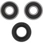 PW-Wheel Bearing Kit - no. PWRWK-S39-000
