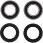 PW-Wheel Bearing Kit - no. PWRWK-T04-521