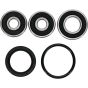 PW-Wheel Bearing Kit - no. PWRWK-Y28-001