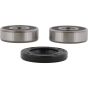 PW-Wheel Bearing Kit - no. PWRWK-Y38-050