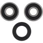 PW-Wheel Bearing Kit - no. PWRWK-Y38-050