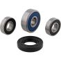 PW-Wheel Bearing Kit - no. PWRWK-Y61-000