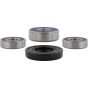 PW-Wheel Bearing Kit - no. PWRWK-Y61-000