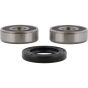 PW-Wheel Bearing Kit - no. PWRWS-H24-000