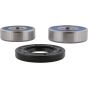 PW-Wheel Bearing Kit - no. PWRWS-H32-000