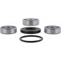 PW-Wheel Bearing Kit - no. PWRWS-H45-000