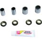 PW-Swing Arm Kit - no. PWSAK-K01-521