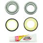 PW-Steering Stem Bearing Kit - no. PWSSK-H03-021