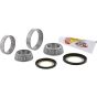 PW-Steering Stem Bearing Kit - no. PWSSK-H11-000