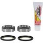 PW-Steering Stem Bearing Kit - no. PWSSK-H27-000