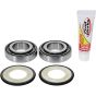 PW-Steering Stem Bearing Kit - no. PWSSK-HD02-000