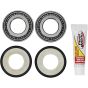 PW-Steering Stem Bearing Kit - no. PWSSK-HD02-000