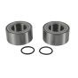 PW-Wheel Bearing Kit - no. PWWK-K00-000
